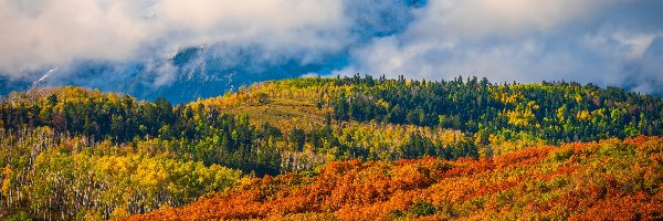 Chmury, San Juan Mountains, Stany Zjednoczone, Drzewa, Dallas Divide, Jesień, Las, Góry, Przełęcz, Kolorado