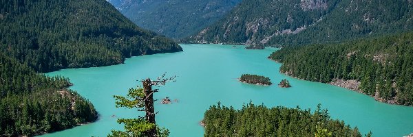 Stany Zjednoczone, Góry, Drzewa, Diablo Lake, Jezioro, Stan Waszyngton, Park Narodowy Północnych Gór Kaskadowych