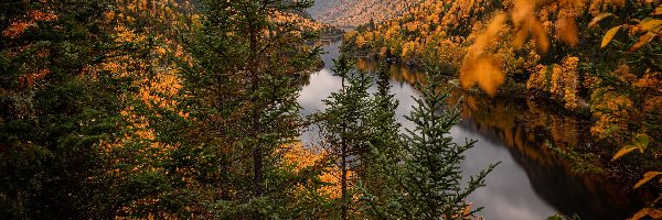 Drzewa, Malbaie River, Wąwóz, Góry, Jesień, Kanada, Prowincja Quebec, Rzeka, Park Narodowy Hautes Gorges de la Riviere Malbaie