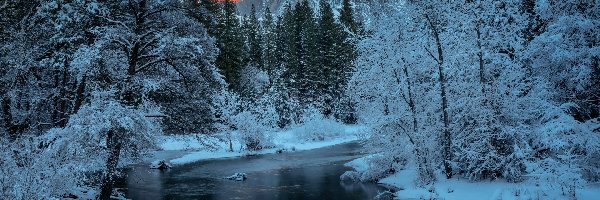 Rzeka, Ośnieżone, Stany Zjednoczone, Park Narodowy Yosemite, Drzewa, Merced River, Góry, Zima