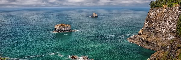 Roślinność, Morze, Stany Zjednoczone, Oregon, Skały, Park Stanowy Cape Meares, Przylądek Meares, Wybrzeże