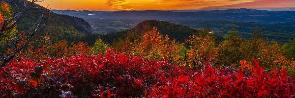 Kanada, Czerwone, Krzewy, Góry, Zachód słońca, Prowincja Quebec, Park Narodowy Grands Jardins