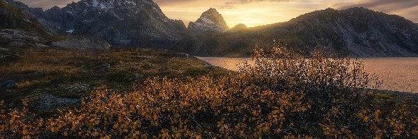 Zachód słońca, Jezioro, Jesień, Krzewy, Góry Skandynawskie, Pożółkłe, Liście, Norwegia
