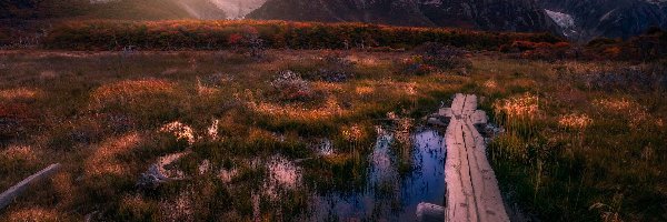 Kładka, Góry Andy, Fitz Roy, Patagonia, Argentyna, Mokradła, Jesień