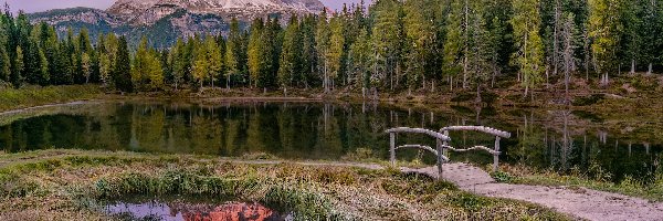 Tre Cime di Lavaredo, Jezioro, Drzewa, Mostek, Włochy, Góry, Masyw, Prowincja Belluno, Dolomity, Antorno Lake, Trawa