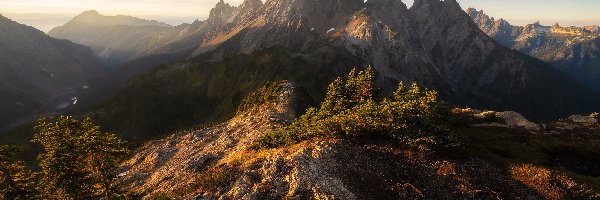 Drzewa, Skały, Góra, Skagit Range, Góry, Stany Zjednoczone, Stan Waszyngton, Mount Larrabee, Sosny