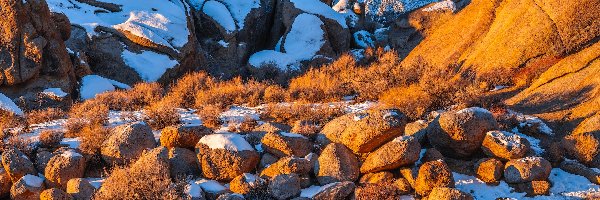 Góry, Śnieg, Stany Zjednoczone, Kalifornia, Krzewy, Alabama Hills, Hrabstwo Inyo, Skały