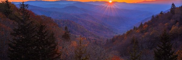 Las, Park Narodowy Great Smoky Mountains, Góry, Stan Karolina Północna, Stany Zjednoczone, Wschód słońca, Great Smoky Mountains