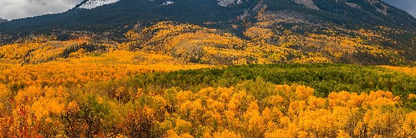 Kebler Pass, Kolorado, Jesień, Drzewa, Przełęcz, Góry, Lasy, Stany Zjednoczone