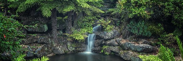 Park Narodowy Gór Błękitnych, Rośliny, Drzewa, Australia, Skały, Rzeka