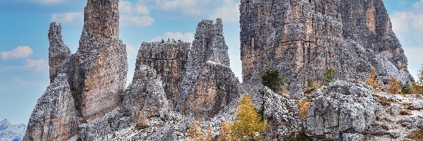 Drzewa, Skały, Cinque Torri, Włochy, Dolomity, Góry