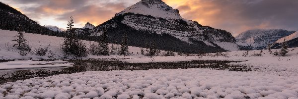 Alberta, Drzewa, Chmury, Kanada, Góry, Zima