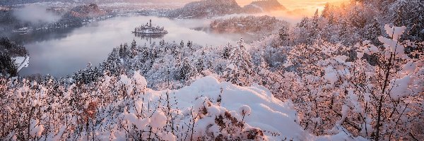 Drzewa, Śnieg, Promienie słońca, Ośnieżone, Słowenia, Jezioro Bled, Wysepka, Zima, Góry, Krzewy