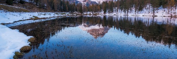 Drzewa, Jezioro, Włochy, Tre Cime di Lavaredo, Góry, Dolomity, Masyw, Zima, Antorno Lake, Prowincja Belluno