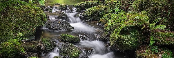 Omszałe, Nowa Zelandia, Putorino, Shine Falls, Wodospad, Roślinność, Kamienie, Region Hawkes Bay, Skały