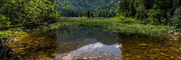 Austria, Lunzersee, Jezioro Lunzkie, Jezioro, Góry, Odbicie, Drzewa