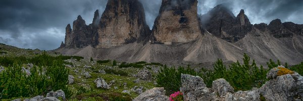 Skały, Chmury, Szczyty, Dolomity, Góry, Włochy, Roślinność, Tre Cime di Lavaredo, Krzewy