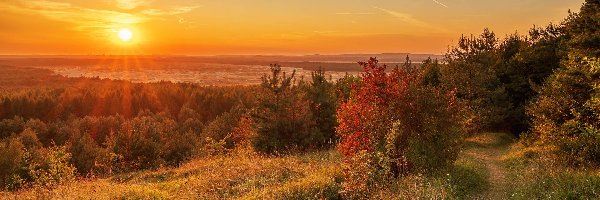 Czubatka, Pustynia Błędowska, Ścieżka, Drzewa, Wzgórze, Łąka, Zachód słońca, Polska