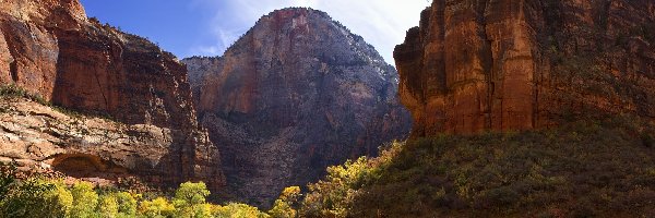 Park Narodowy Zion, Góra, Stany Zjednoczone, Drzewa, Skały, Rzeka, Virgin River, Góry, Cable Mountain, Utah