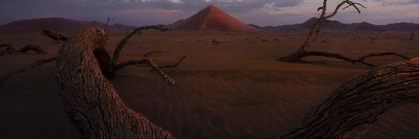 Wydmy, Piaskowe, Afryka, Namibia, Góry, Powalone, Drzewo, Pustynia Namib