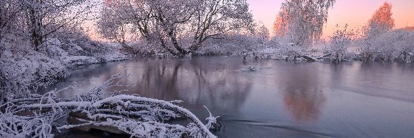 Zima, Drzewa, Ośnieżone, Jezioro, Śnieg