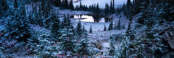 Śnieg, Góry, Mgła, Zima, Park Narodowy Mount Rainier, Jezioro, Tipsoo Lake, Stany Zjednoczone, Stratowulkan Mount Rainier, Drzewa