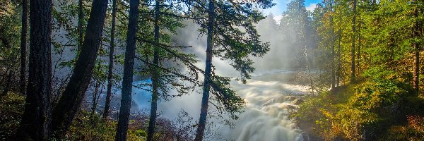 Rzeka, Rośliny, Drzewa, Kamienie, Jesień, Vancouver Island, Wodospad, Niebo, Skały, Kanada, Mgła, Las