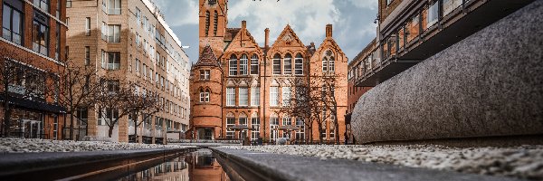 Birmingham, Ikon Gallery, Galeria Sztuki Ikon, Anglia, Domy, Oozells Square