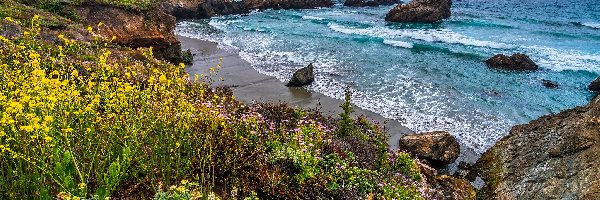 Kalifornia, Kwiaty, Wybrzeże Big Sur, Stany Zjednoczone, Skały, Morze