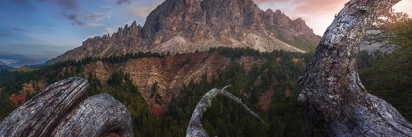 Wurzjoch, Dolomity, Włochy, Chmury, Przełęcz, Passo del Erbe, Drzewa, Góry