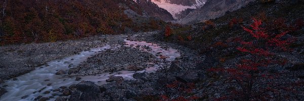 Rzeka, Góry, Cerro Torre, Roślinność, Patagonia, Argentyna
