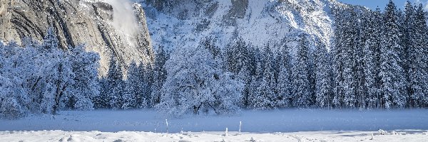 Śnieg, Góry, Stany Zjednoczone, Kalifornie, Sierra Nevada, Drzewa, Zima, Park Narodowy Yosemite