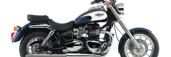 Triumph America
