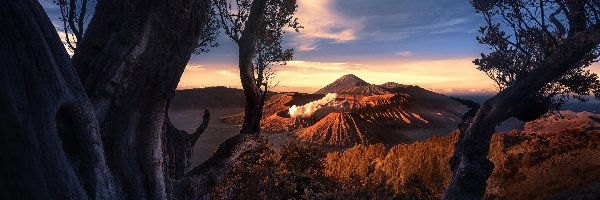 Wyspa Jawa, Chmury, Drzewa, Indonezja, Wulkany, Góra Bromo