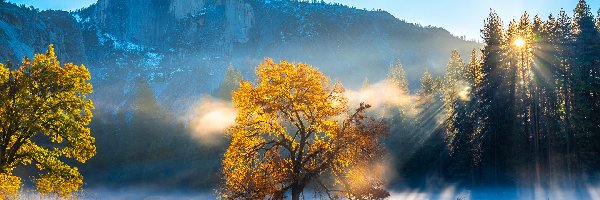 Góra Half Dome, Kalifornia, Mgła, Drzewa, Park Narodowy Yosemite, Jesień, Góry, Stany Zjednoczone