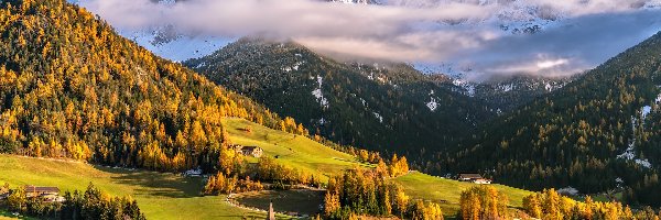 Jesień, Dolomity, Drzewa, Santa Maddalena, Włochy, Mgła, Wioska, Góry