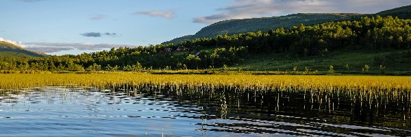 Góry, Trawy, Jezioro, Wzgórze, Drzewa