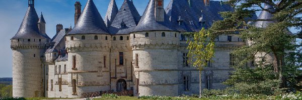 Francja, Drzewa, Krzewy, Park, Zamek Chaumont, Chaumont sur Loire, Kwiaty