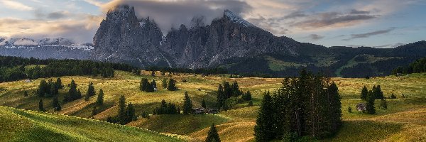 Seiser Alm, Sassolungo, Góry, Drzewa, Domki, Chmury, Płaskowyż, Drewniane, Val Gardena, Włochy, Dolina, Dolomity