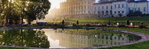 Drzewa, Niemcy, Pałac Ludwigsburg, Park