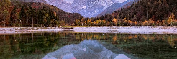 Jesień, Drzewa, Jezioro, Alpy Julijskie, Góry, Słowenia, Gmina Kranjska Gora, Lake Jasna, Chmury