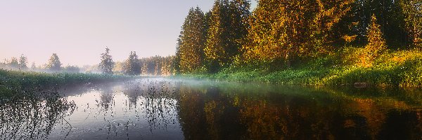 Drzewa, Mgła, Poranek, Rzeka