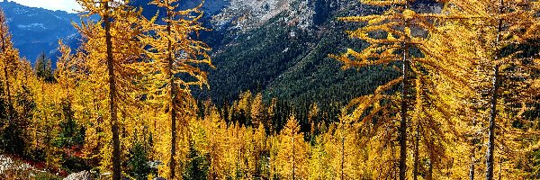 Jesień, Kamienie, Góry, Żółte, Drzewa