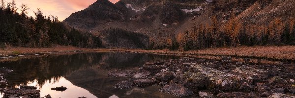 Kamienie, Jezioro, Kanada, Kolumbia Brytyjska, Gog Lake, Drzewa, Park prowincjonalny Mount Assiniboine, Góry