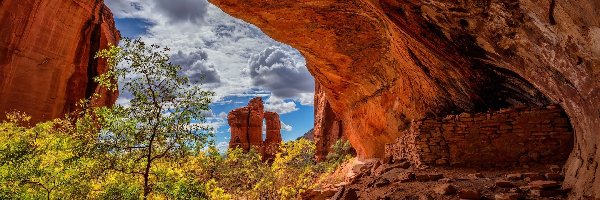 Drzewa, Sedona, Skała, Stan Arizona, Stany Zjednoczone, Tree Sisters Ruins, Formacja skalna