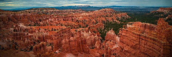 Stany Zjednoczone, Rośliny, Chmury, Skały, Kanion, Stan Utah, Park Narodowy Bryce Canyon