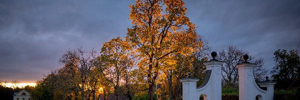 Brama, Drzewa, Jesień, Dom, Rozświetlone, Pożółkłe