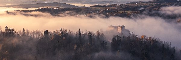 Polska, Mgła, Zamek w Czorsztynie, Drzewa, Góry, Województwo małopolskie, Czorsztyn