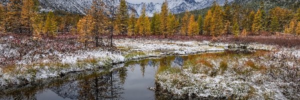 Drzewa, Jezioro, Rosja, Magadan, Jack London, Śnieg, Kołyma, Góry Kołymskie