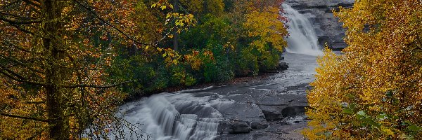 Wodospad, Drzewa, Żółte, Little River, DuPont State Forest, Karolina Północna, Skały, Las, Rzeka, Stany Zjednoczone, Triple Falls, Jesień